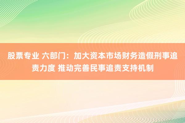 股票专业 六部门：加大资本市场财务造假刑事追责力度 推动完善民事追责支持机制